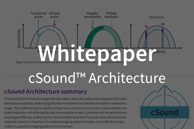 Whitepaper / cSound™ Architecture